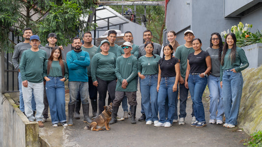 Los Nogales - Oscar Hernandez - Mossto EA Decaf