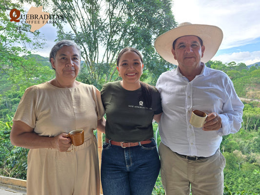 Colombia - Chorro Alto - Gesha