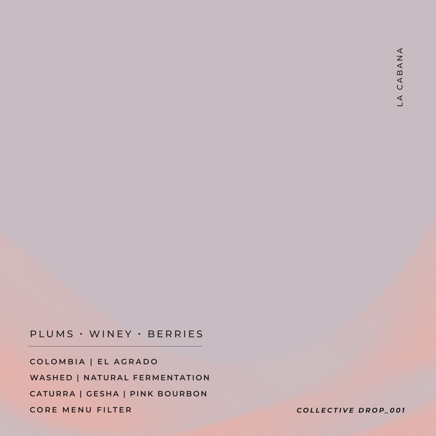 La Cabana - Danilo Perez - Caturra | Gesha | Pink Bourbon