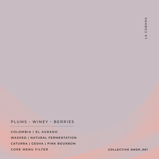La Cabana - Danilo Perez - Caturra | Gesha | Pink Bourbon