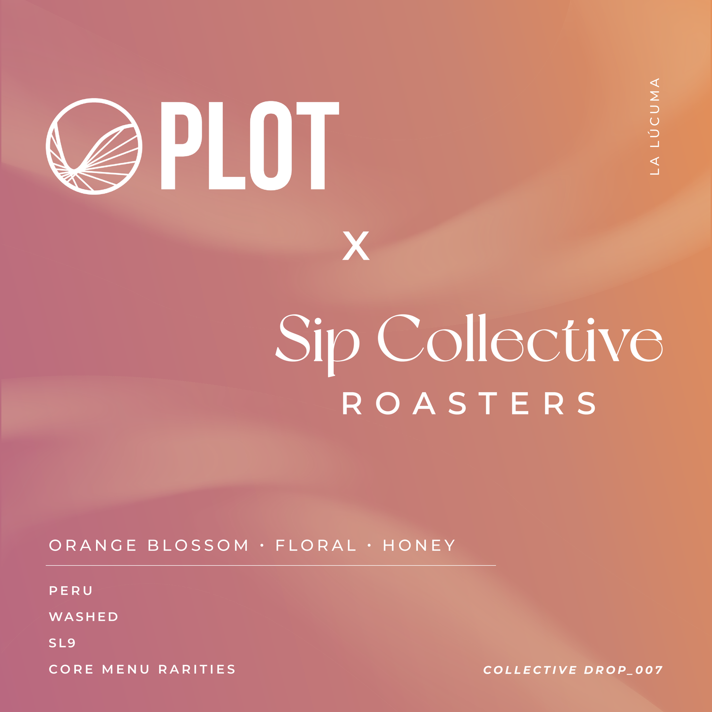 Sip Collective × PLOT Roasting - SL9
