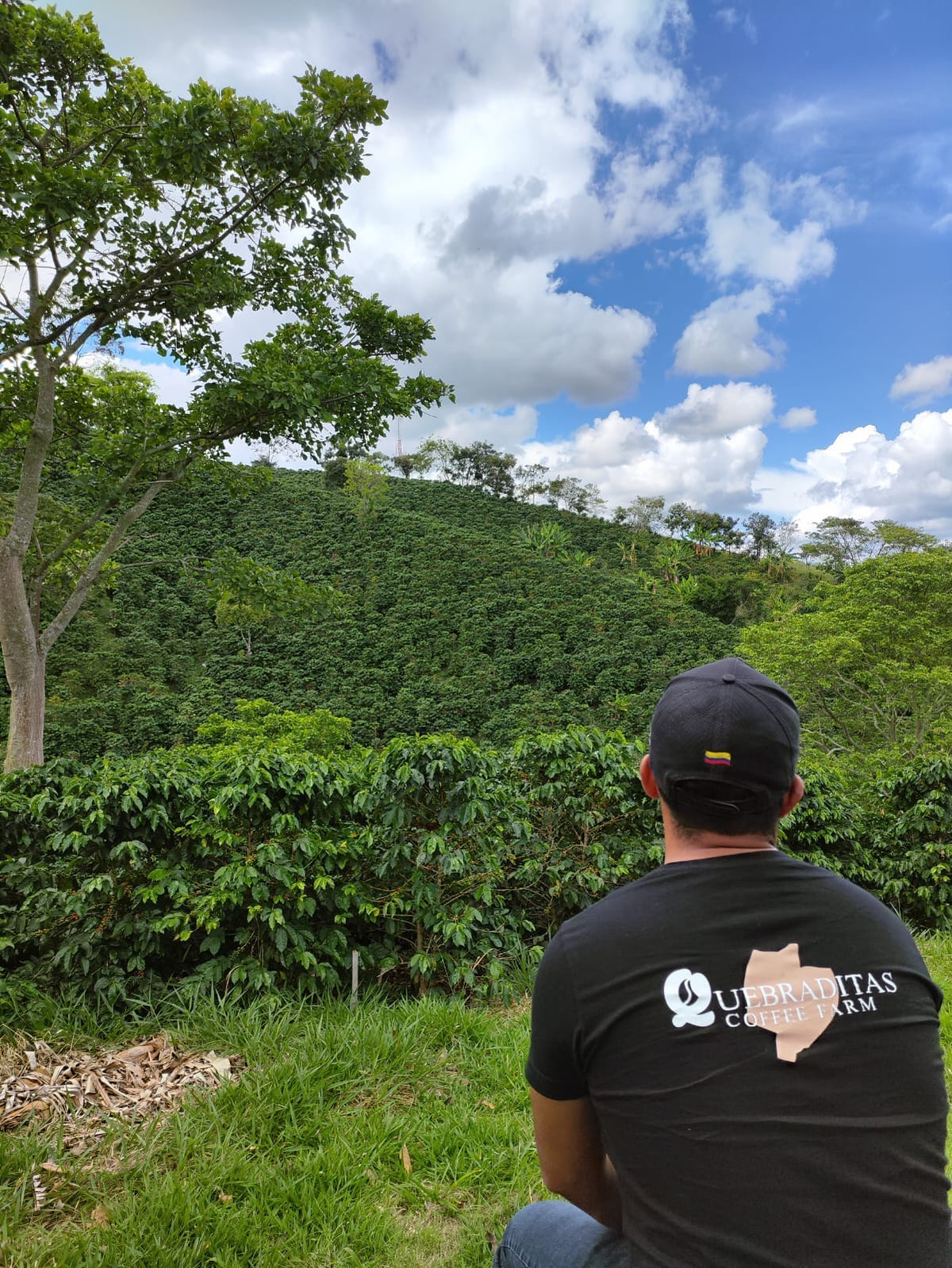 Colombia - Quebraditas - Chiroso